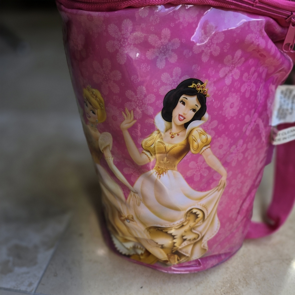 BNWOT Disney sleeping bag with carrying case